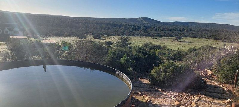 Harmony Game Lodge Port Elizabeth And Surrounds Eastern Cape South Africa Canyon, Nature, Radio Telescope, Technology, Swimming Pool