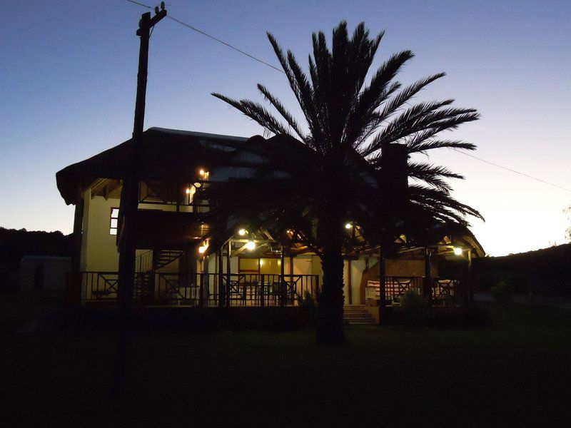 Harmony Game Lodge Port Elizabeth And Surrounds Eastern Cape South Africa Palm Tree, Plant, Nature, Wood