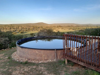 Harmony Game Lodge Port Elizabeth And Surrounds Eastern Cape South Africa Swimming Pool