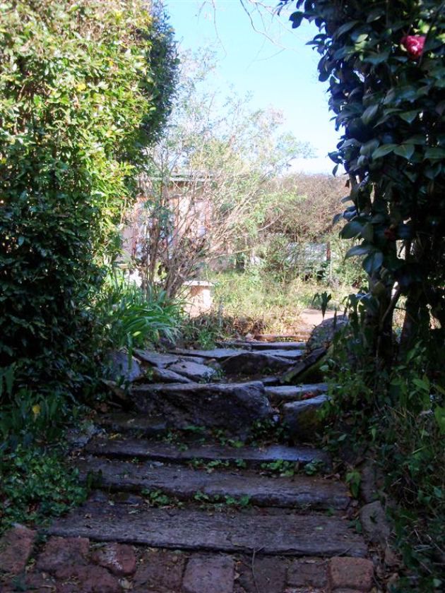 Harmony Cottage Haenertsburg Limpopo Province South Africa Plant, Nature, Stairs, Architecture, Tree, Wood, Garden