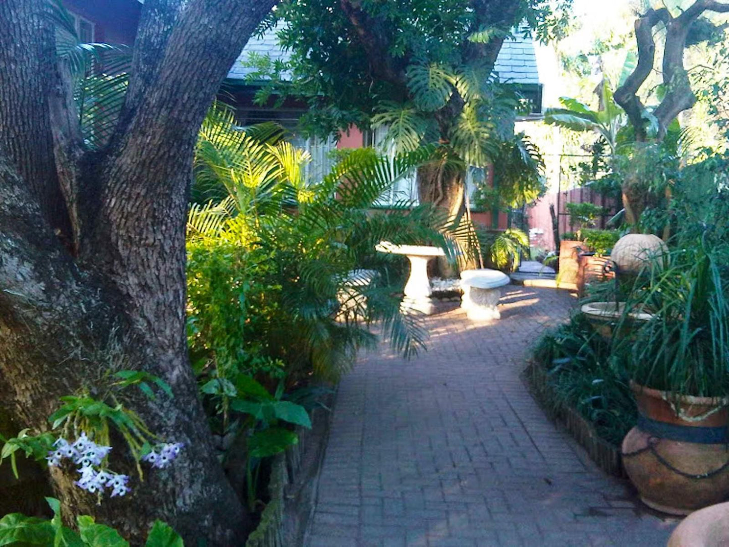 Harmony Guesthouse Nelspruit Mpumalanga South Africa Palm Tree, Plant, Nature, Wood, Garden