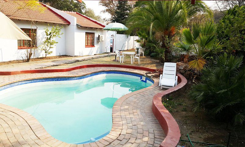 Harmony Guest House Sandton Kramerville Johannesburg Gauteng South Africa Palm Tree, Plant, Nature, Wood, Garden, Swimming Pool