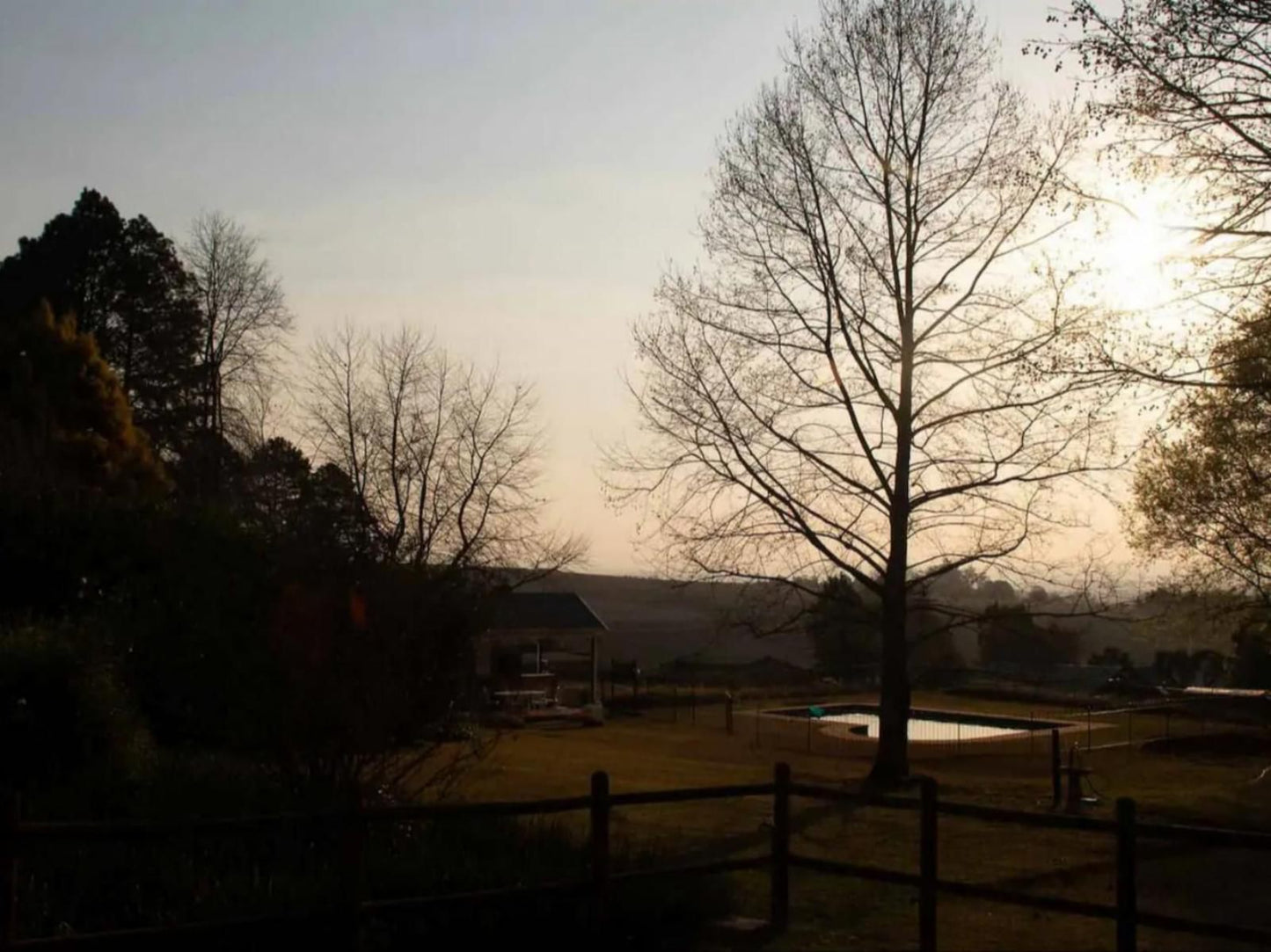 Harrington House, Sky, Nature, Tree, Plant, Wood, Sunset