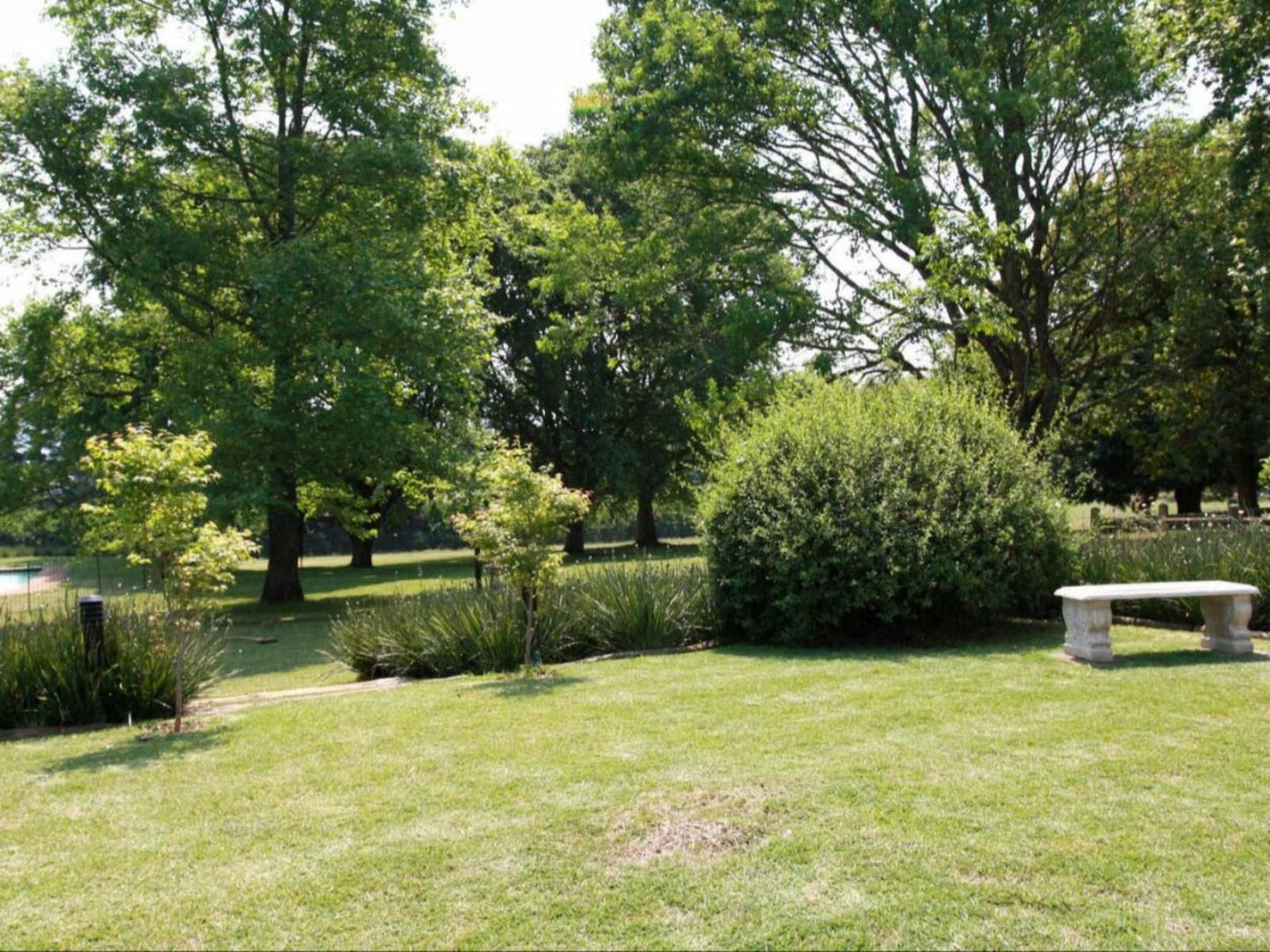 Harrington House, Plant, Nature, Tree, Wood, Garden