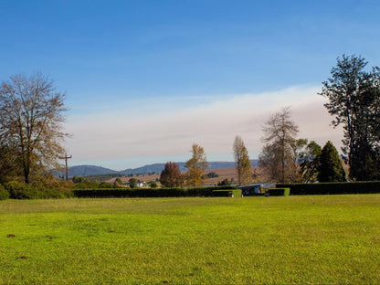 Harrington House, Field, Nature, Agriculture