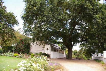 Hartebeeskraal Self Catering Cottage Paarl Western Cape South Africa House, Building, Architecture, Plant, Nature, Tree, Wood, Garden