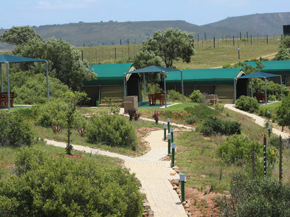 Hartenbos Private Game Lodge