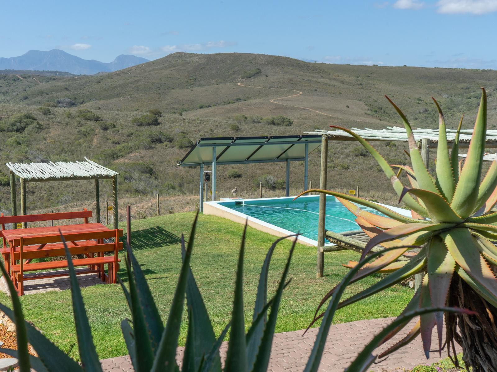 Hartenbos Private Game Lodge, Swimming Pool