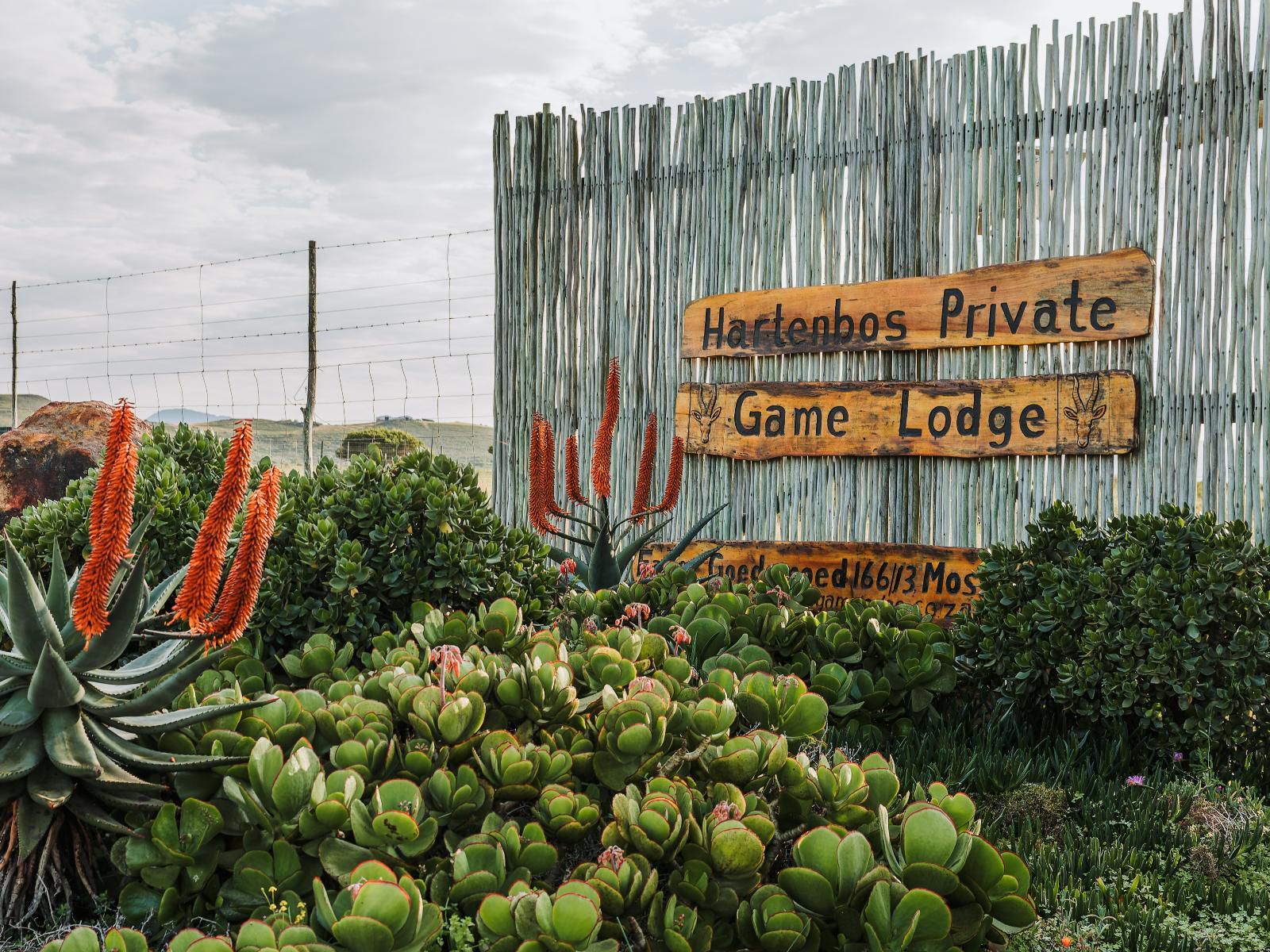 Hartenbos Private Game Lodge, Cactus, Plant, Nature, Sign