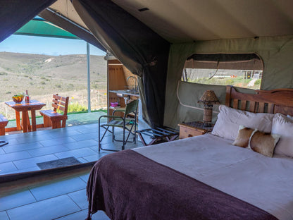 Hartenbos Private Game Lodge, Luxury Family Tent 4 persons, Tent, Architecture, Bedroom