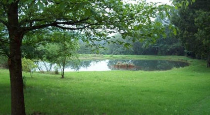 Hartfell Farm Dullstroom Mpumalanga South Africa Lake, Nature, Waters, Tree, Plant, Wood, Garden