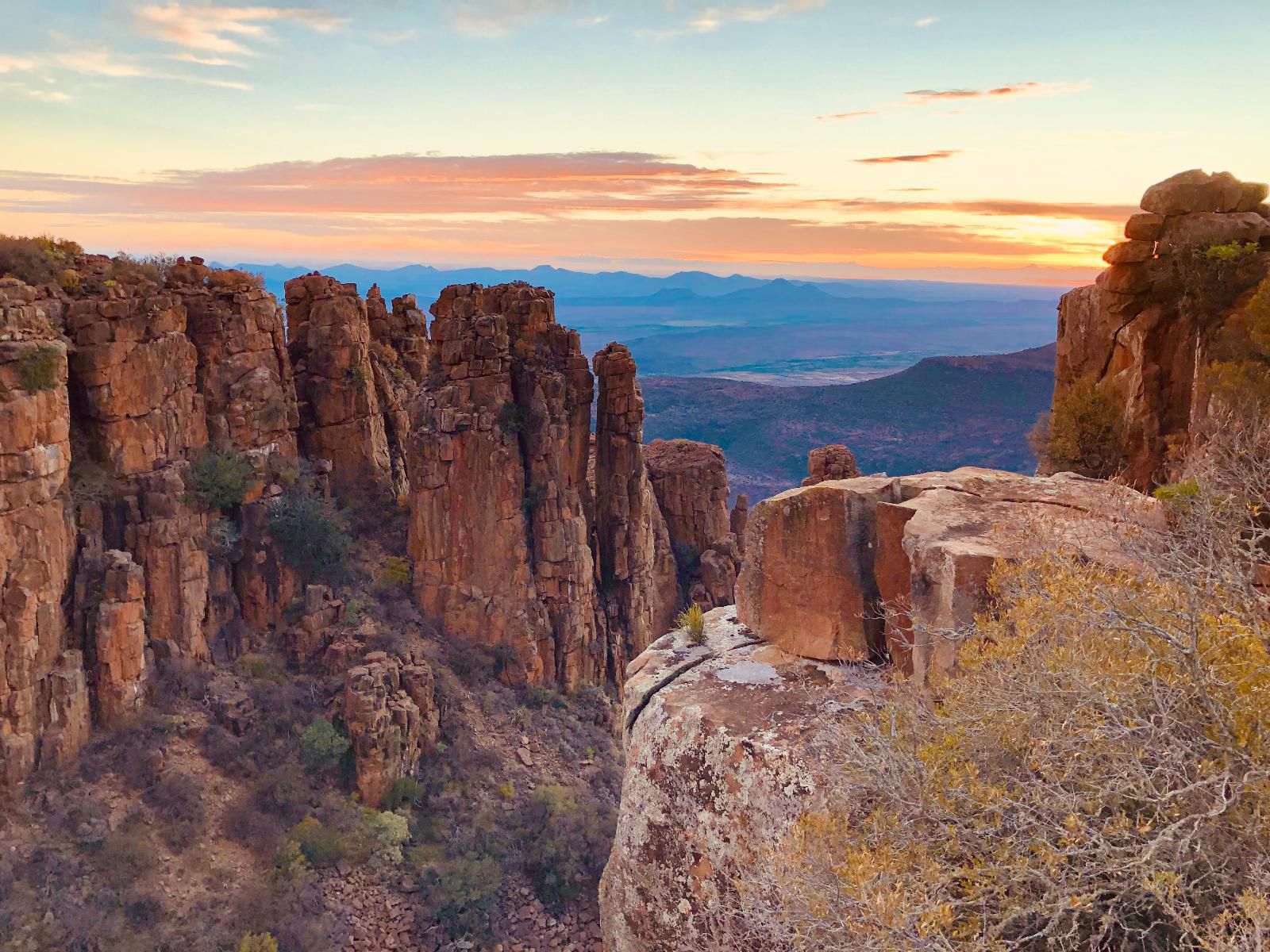 Hartland Huis, Cactus, Plant, Nature, Canyon