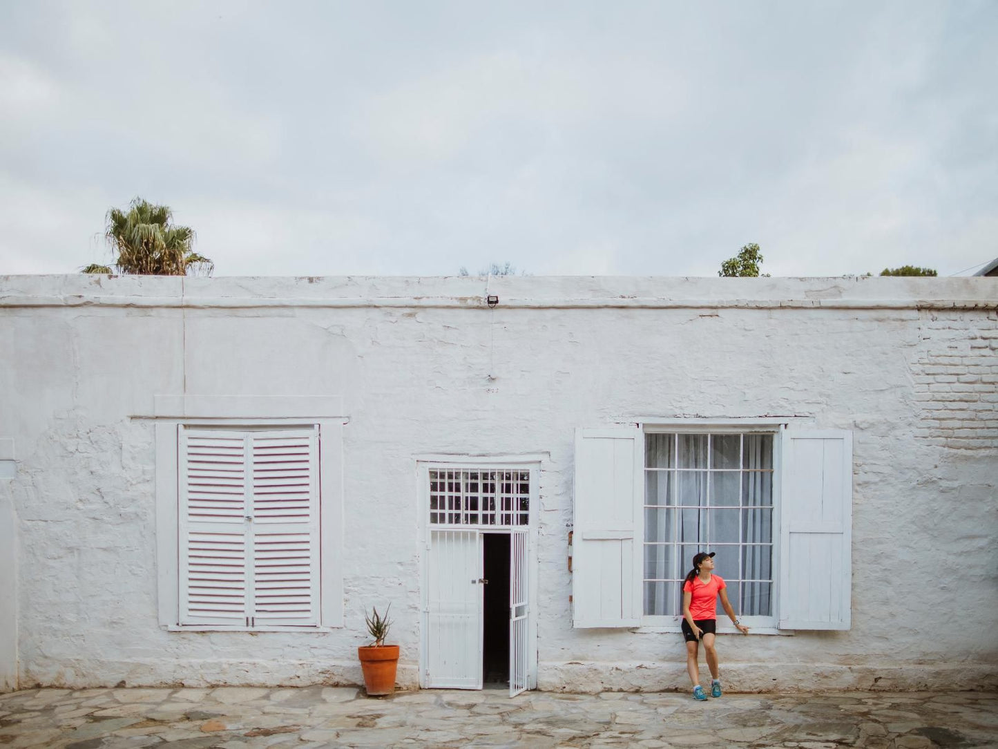 Hartland Huis, House, Building, Architecture, Palm Tree, Plant, Nature, Wood, Person