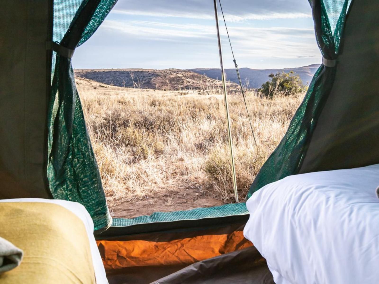 Hartland Huis, Karoo Camp Out, Tent, Architecture, Bedroom