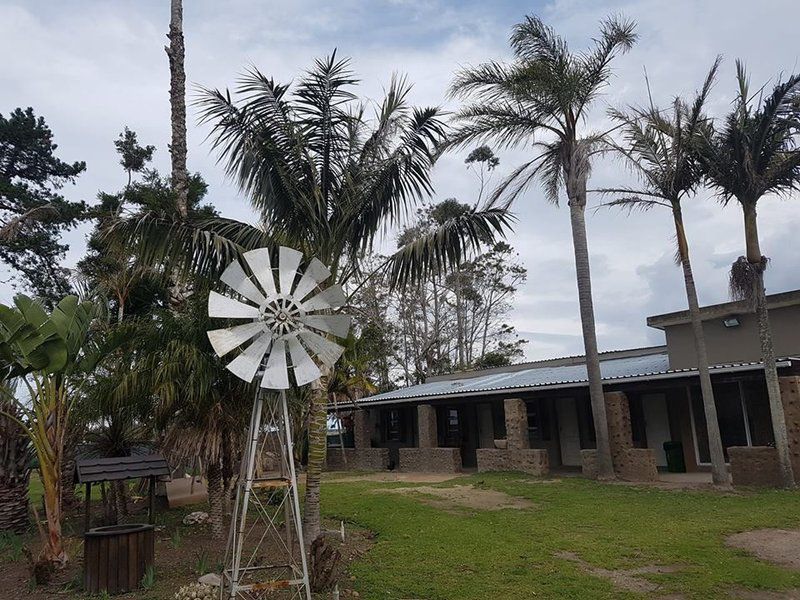 Hartsklop Guest Farm Glentana Great Brak River Western Cape South Africa Palm Tree, Plant, Nature, Wood