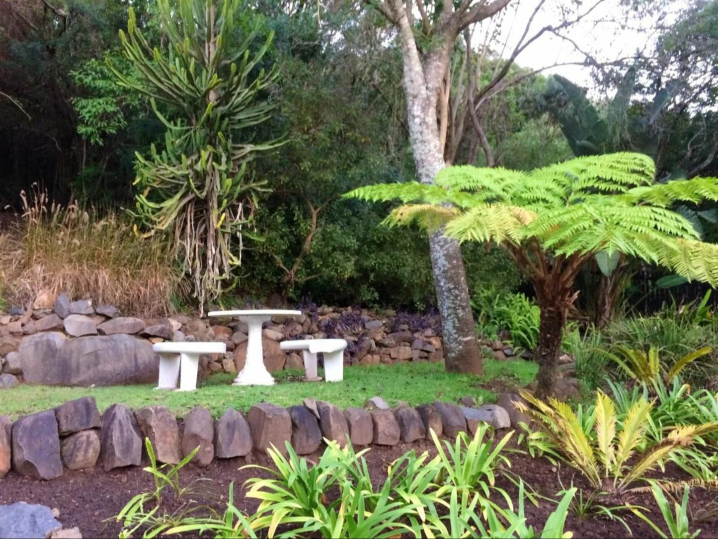 Harvest Weavers Hotel Bonnie Doon East London Eastern Cape South Africa Palm Tree, Plant, Nature, Wood, Garden