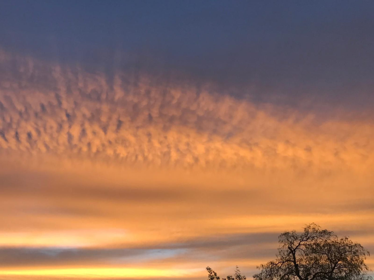 Haus Holzapfel Beaufort West Western Cape South Africa Sky, Nature, Clouds, Sunset