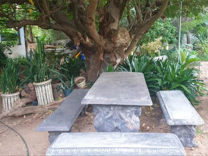 Haus Muller Clanwilliam Western Cape South Africa Palm Tree, Plant, Nature, Wood, Cemetery, Religion, Grave