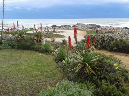 Haus Giotto De Kelders Western Cape South Africa Complementary Colors, Beach, Nature, Sand, Palm Tree, Plant, Wood, Garden