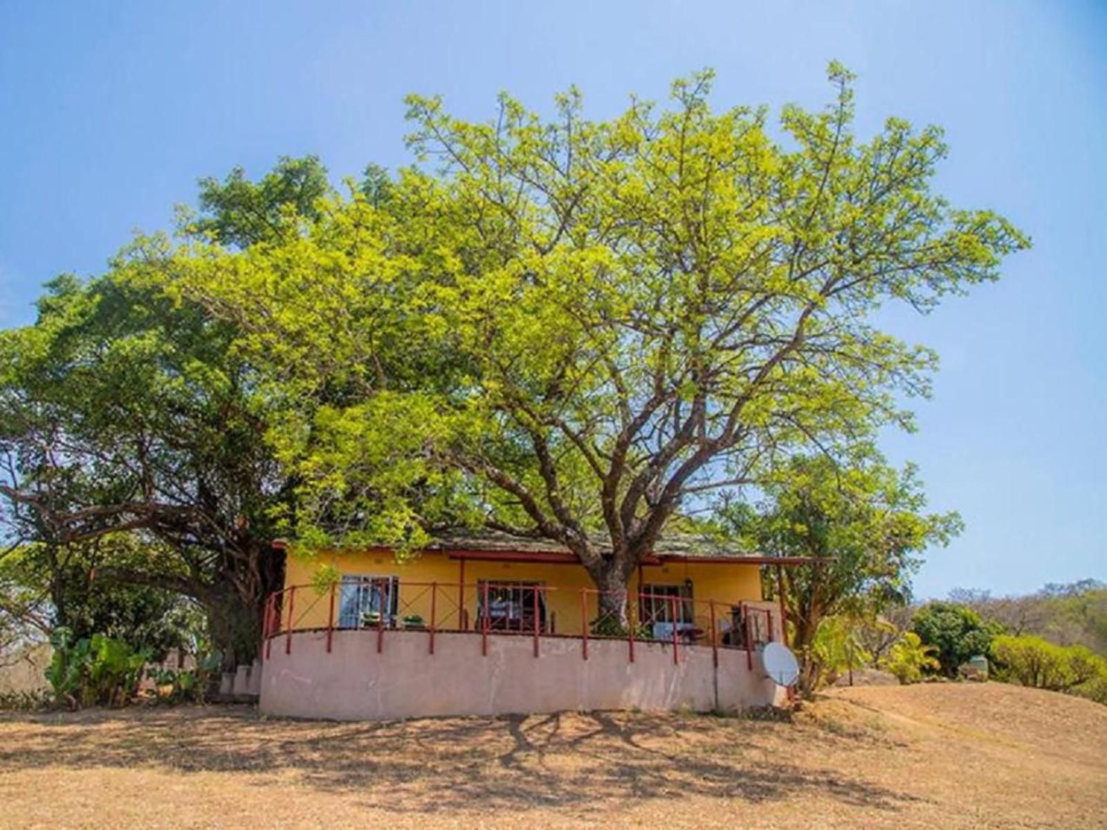 Haus Kopatsch Kiepersol Mpumalanga South Africa Complementary Colors, House, Building, Architecture, Plant, Nature