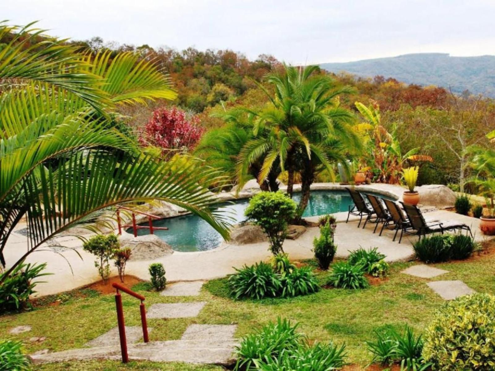 Haus Kopatsch Kiepersol Mpumalanga South Africa Palm Tree, Plant, Nature, Wood, Garden, Swimming Pool