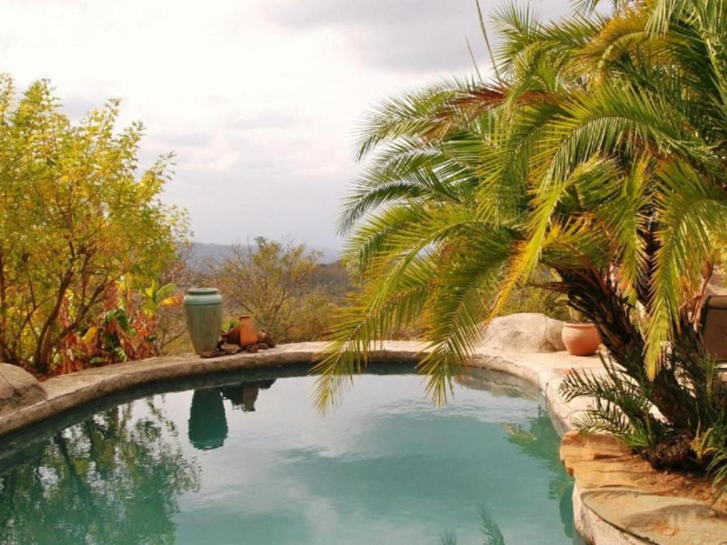 Haus Kopatsch Kiepersol Mpumalanga South Africa Palm Tree, Plant, Nature, Wood, Swimming Pool