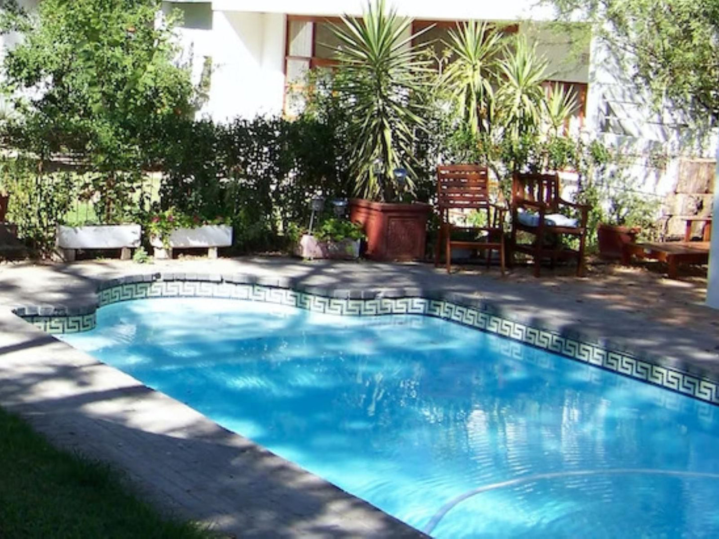 Haus Victoria Oudtshoorn Western Cape South Africa Complementary Colors, Garden, Nature, Plant, Swimming Pool