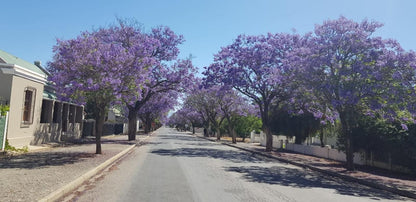 Hayburg House Robertson Western Cape South Africa Blossom, Plant, Nature, Street
