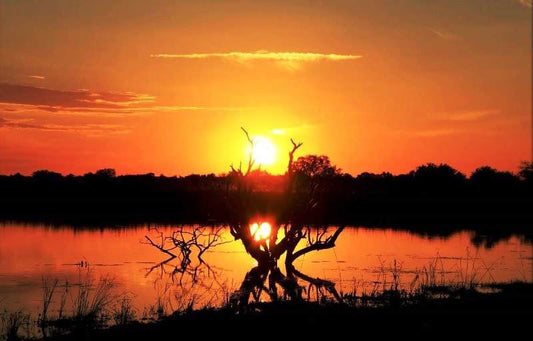 Hayward S Game Lodge Dinokeng Game Reserve Gauteng South Africa Sky, Nature, Sunset