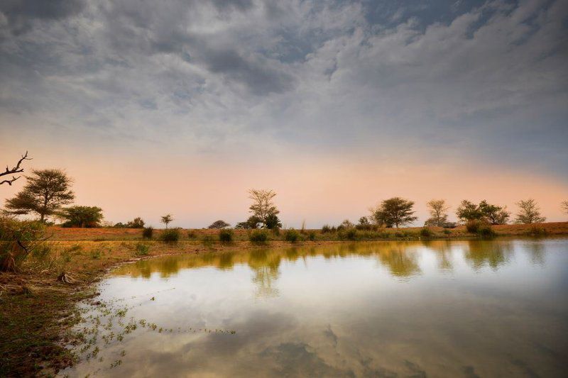 Hayward S Safari House Dinokeng Gauteng South Africa Lowland, Nature