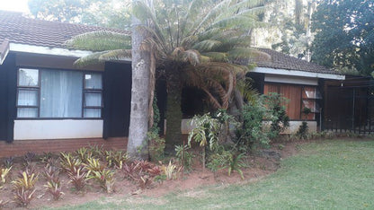 Hazel House White River Mpumalanga South Africa Palm Tree, Plant, Nature, Wood, Framing