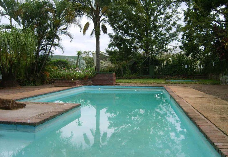 Hazypark Lodge And Caravan Park Hazyview Mpumalanga South Africa Palm Tree, Plant, Nature, Wood, Garden, Swimming Pool