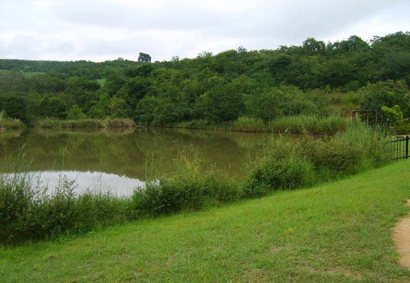 Hazypark Lodge And Caravan Park Hazyview Mpumalanga South Africa Forest, Nature, Plant, Tree, Wood, River, Waters