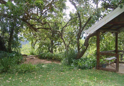 Hazypark Lodge And Caravan Park Hazyview Mpumalanga South Africa Plant, Nature, Tree, Wood