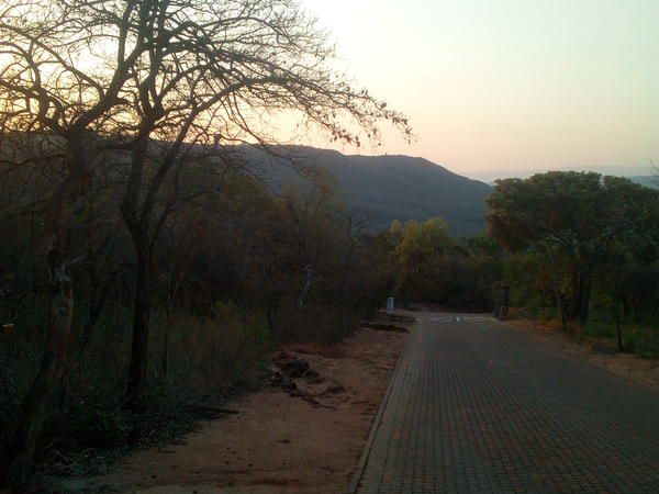 Hazyview Buffalo Game Lodge Numbi Park Hazyview Mpumalanga South Africa Forest, Nature, Plant, Tree, Wood, Railroad, Street, Sunset, Sky