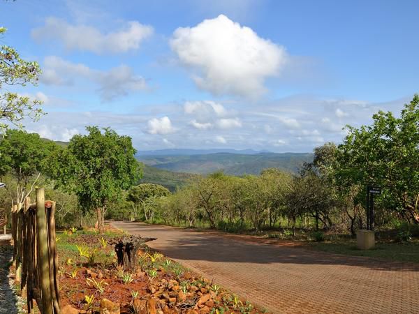 Hazyview Buffalo Game Lodge Numbi Park Hazyview Mpumalanga South Africa Complementary Colors, Tree, Plant, Nature, Wood