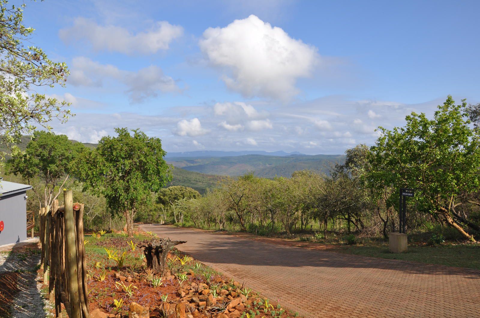 Hazyview Buffalo Game Lodge Numbi Park Hazyview Mpumalanga South Africa Complementary Colors, Nature