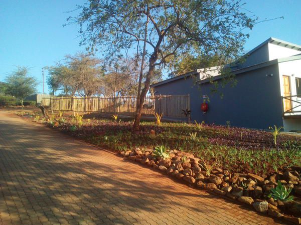 Hazyview Buffalo Game Lodge Numbi Park Hazyview Mpumalanga South Africa Complementary Colors, Plant, Nature, Garden