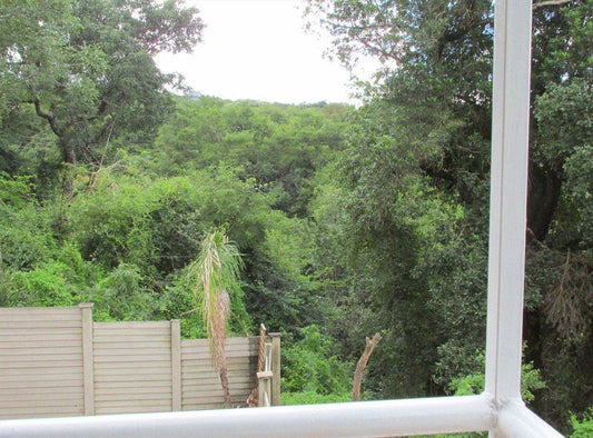 Kruger Contractor Houses Hazyview Mpumalanga South Africa Tree, Plant, Nature, Wood