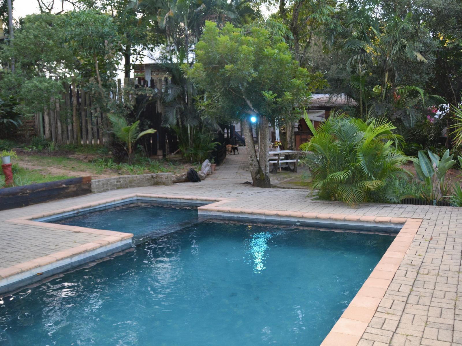 Hazyview Adventure Backpackers Numbi Park Hazyview Mpumalanga South Africa Palm Tree, Plant, Nature, Wood, Garden, Swimming Pool