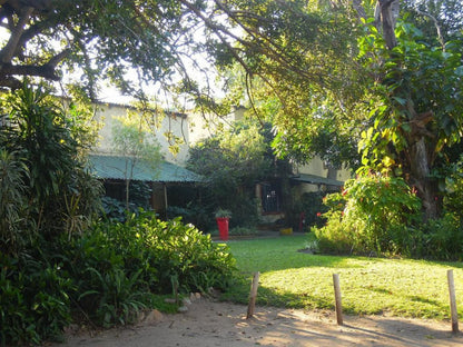 Hazyview Country Cottage Hazyview Mpumalanga South Africa House, Building, Architecture, Palm Tree, Plant, Nature, Wood, Garden