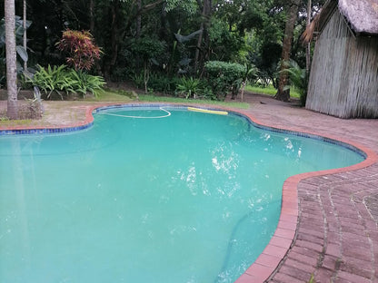 Hazyview Country Cottage Hazyview Mpumalanga South Africa Palm Tree, Plant, Nature, Wood, Garden, Swimming Pool