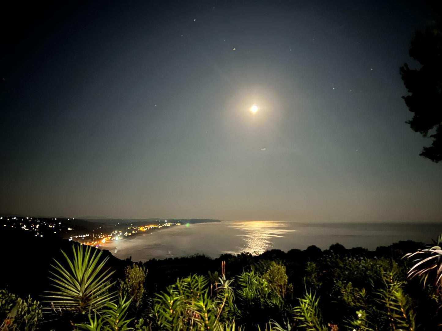 Hilltop Country Lodge Victoria Bay Western Cape South Africa Beach, Nature, Sand, Palm Tree, Plant, Wood, Moon