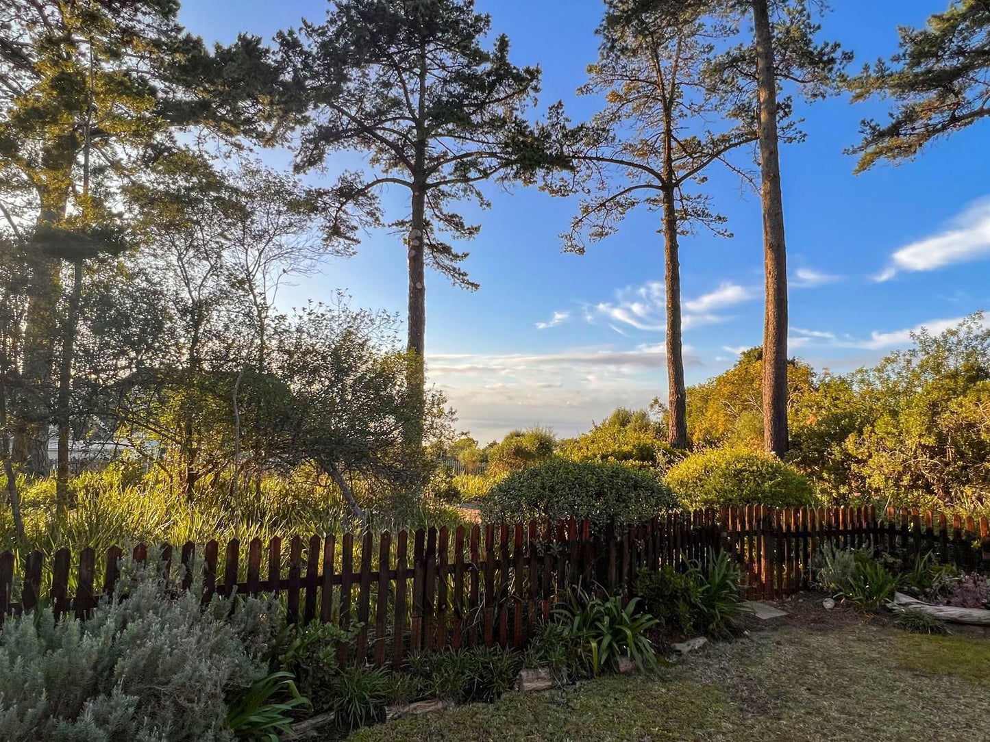 Hilltop Country Lodge Victoria Bay Western Cape South Africa Plant, Nature, Garden