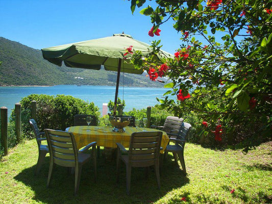 Heads House The Heads Knysna Western Cape South Africa Complementary Colors, Beach, Nature, Sand, Island