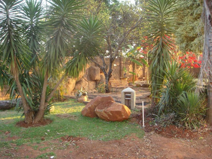 Heatherdale Guesthouse Heatherdale Pretoria Tshwane Gauteng South Africa Palm Tree, Plant, Nature, Wood, Garden