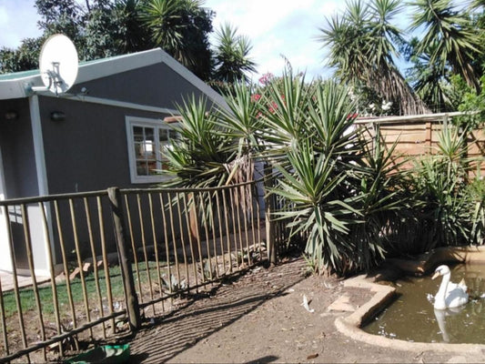 Heathers Place Penhill Cape Town Western Cape South Africa House, Building, Architecture, Palm Tree, Plant, Nature, Wood, Garden