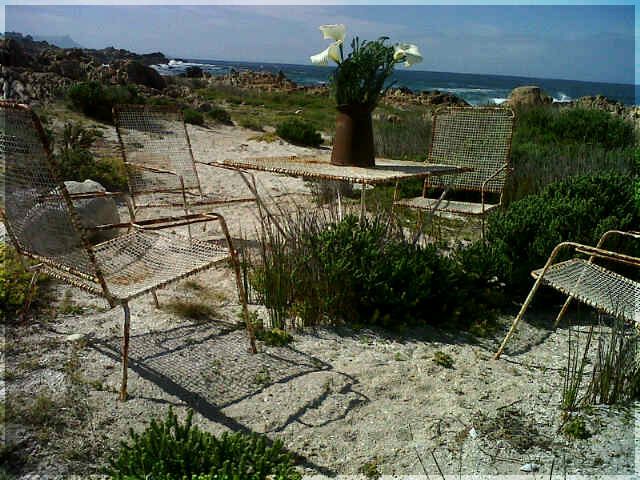 Heaven S Door Bettys Bay Western Cape South Africa Beach, Nature, Sand, Plant