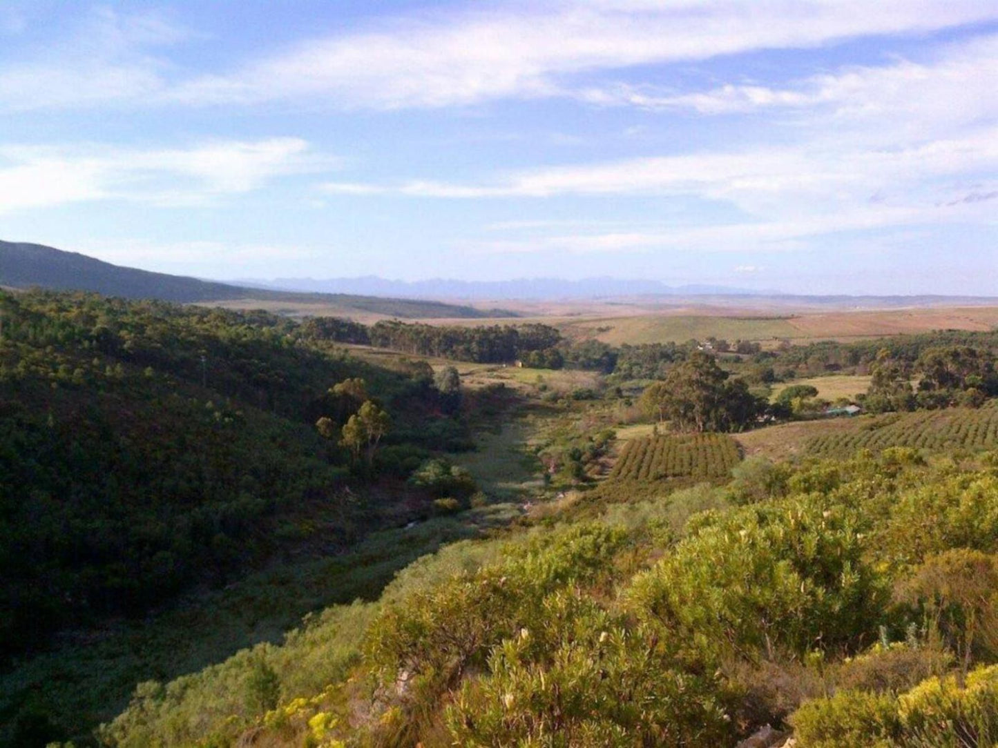 Heilfontein Country Estate Teslaarsdal Western Cape South Africa Complementary Colors, Highland, Nature