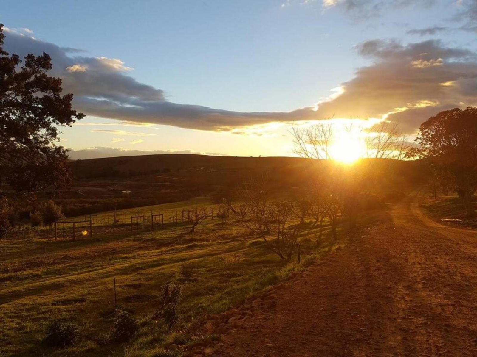 Heilfontein Country Estate Teslaarsdal Western Cape South Africa Sky, Nature, Sunset